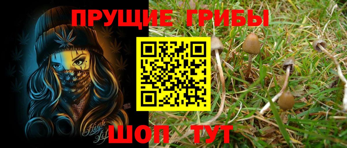 Псилоцибиновые грибы ЛСД  где можно купить   Якутск  Вход с VPN 