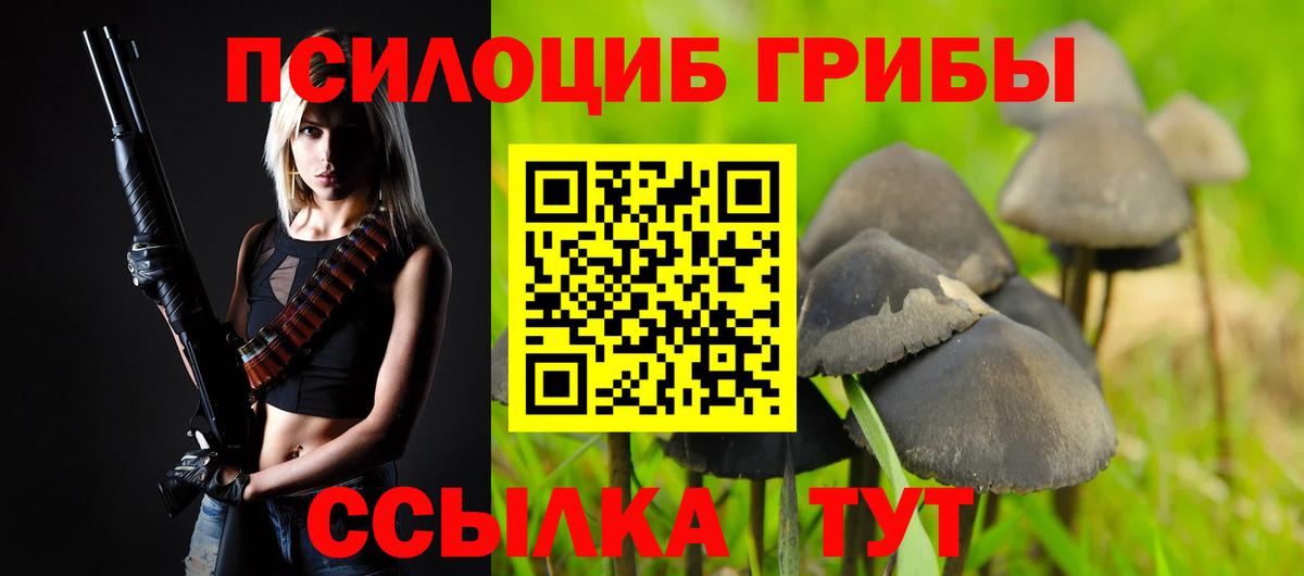 Псилоцибиновые грибы ЛСД Якутск